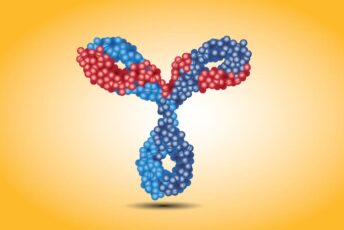 Antikörper bei Bluterkrankheit