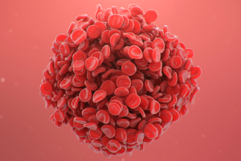 Die Geschichte des Blutes bei Hämophilie